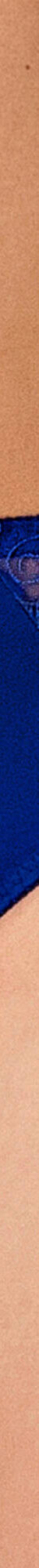 Culotte microfibre et guipure Rima - lot de 2 (bleu) Culotte microfibre et guipure Rima - lot de 2 (bleu)